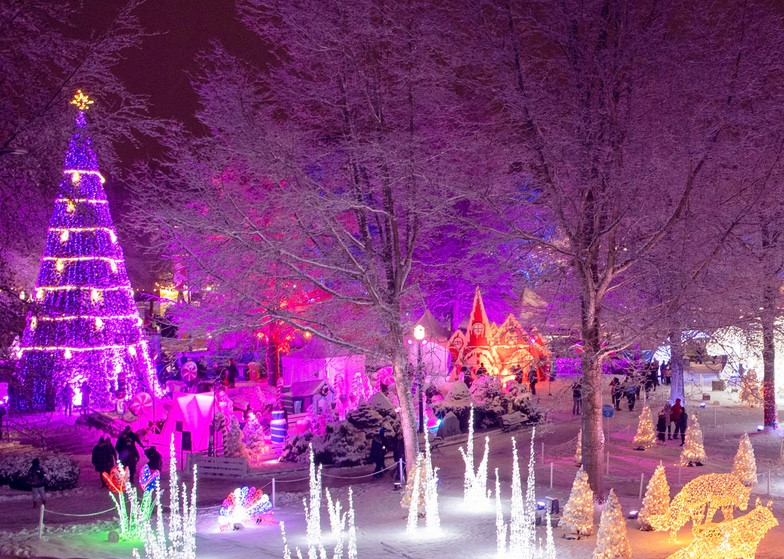 Where to see the best christmas lights in vancouver (2025 guide) 14 Image