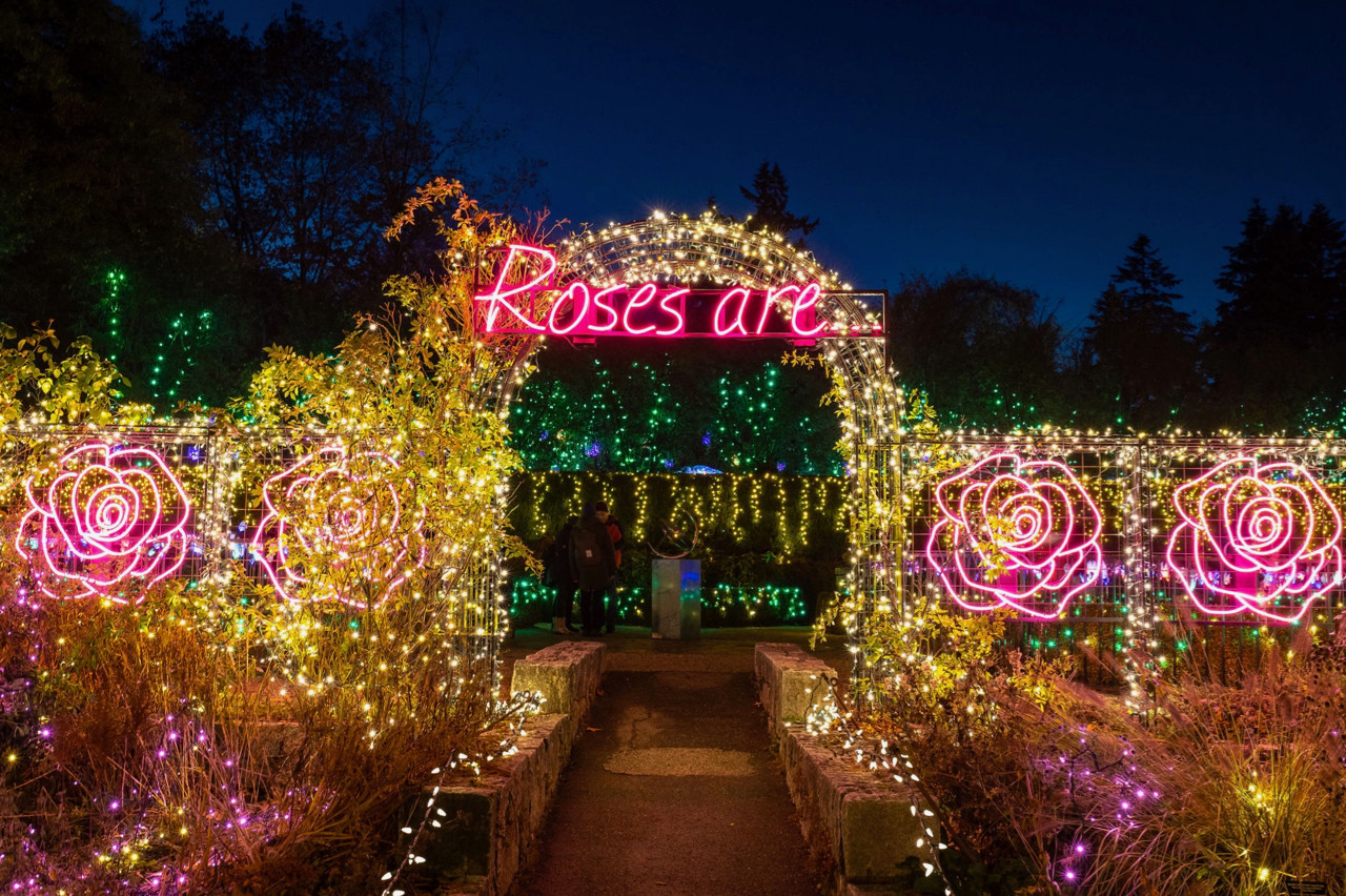 Best vancouver santa experiences — photos, parades & magical holiday moments 39 Image