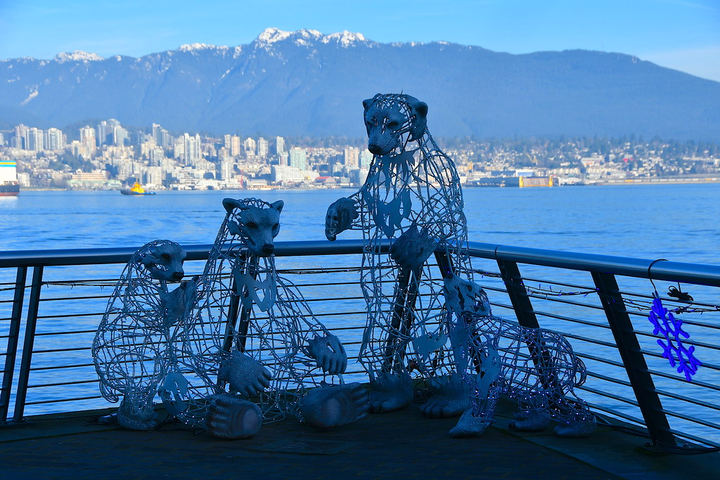 Magical vancouver christmas trees & display locations you need to see 13 Image