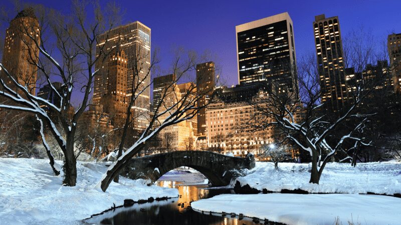 Christmas in new york 2025: lights, events & best photo spots 65 Image