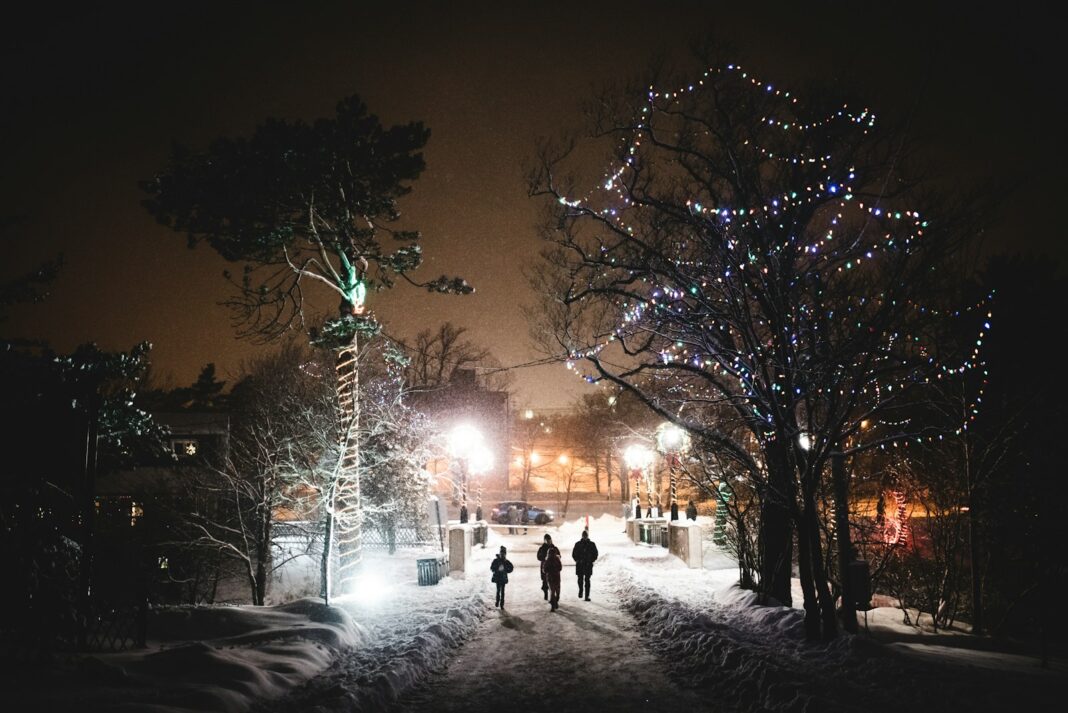 silhouette photo of people at middle of street