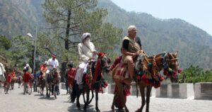 Vaishno devi yatra by pony