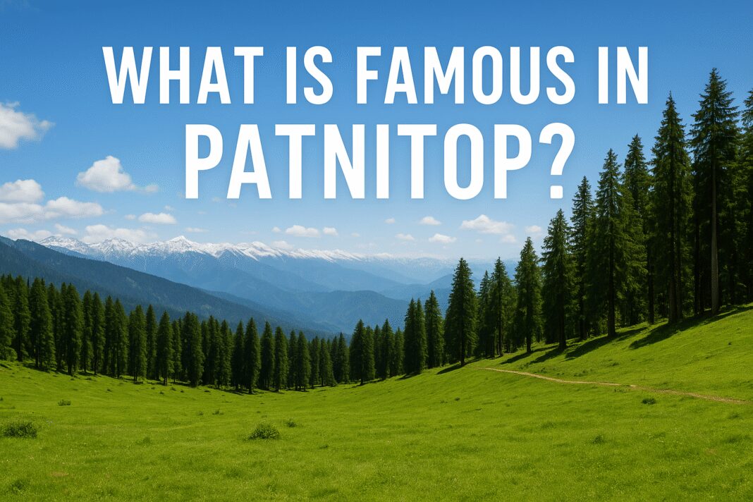 What is Famous in Patnitop
