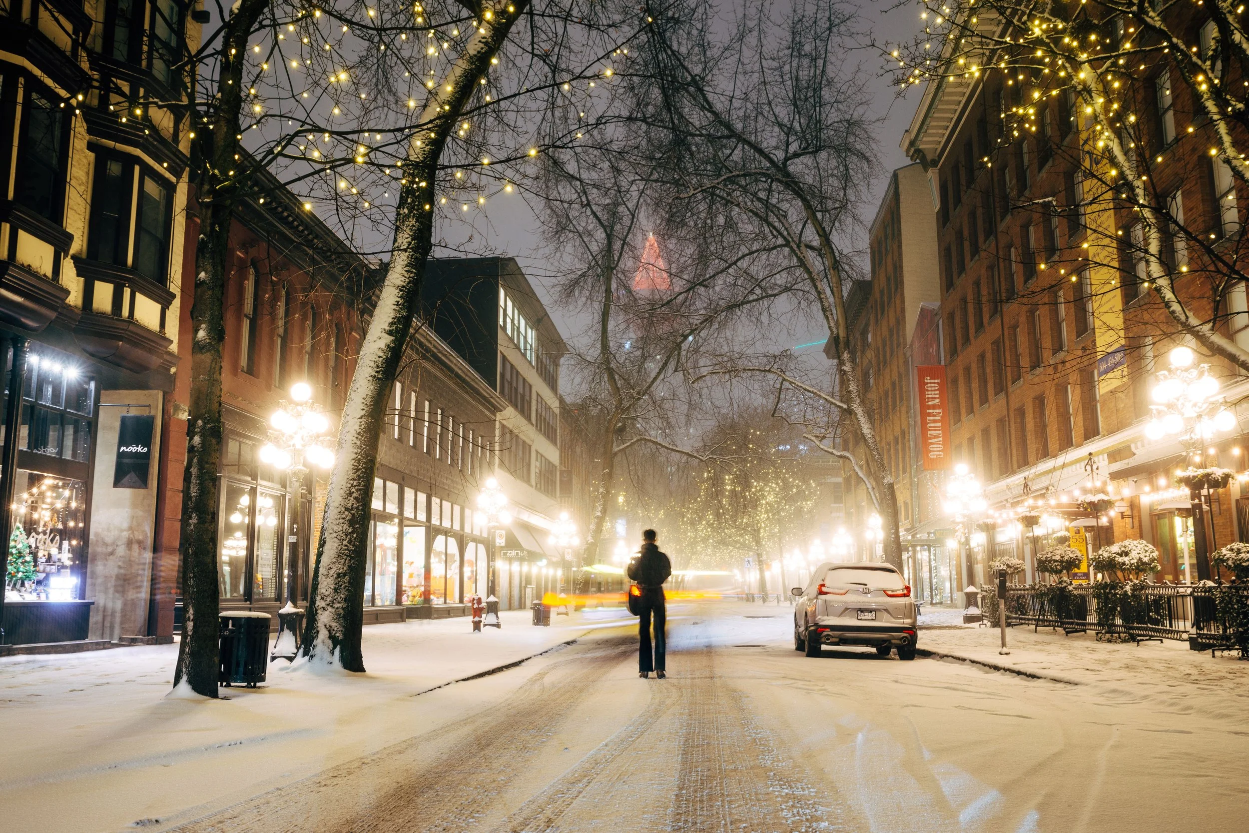 Magical vancouver christmas trees & display locations you need to see 52 Image