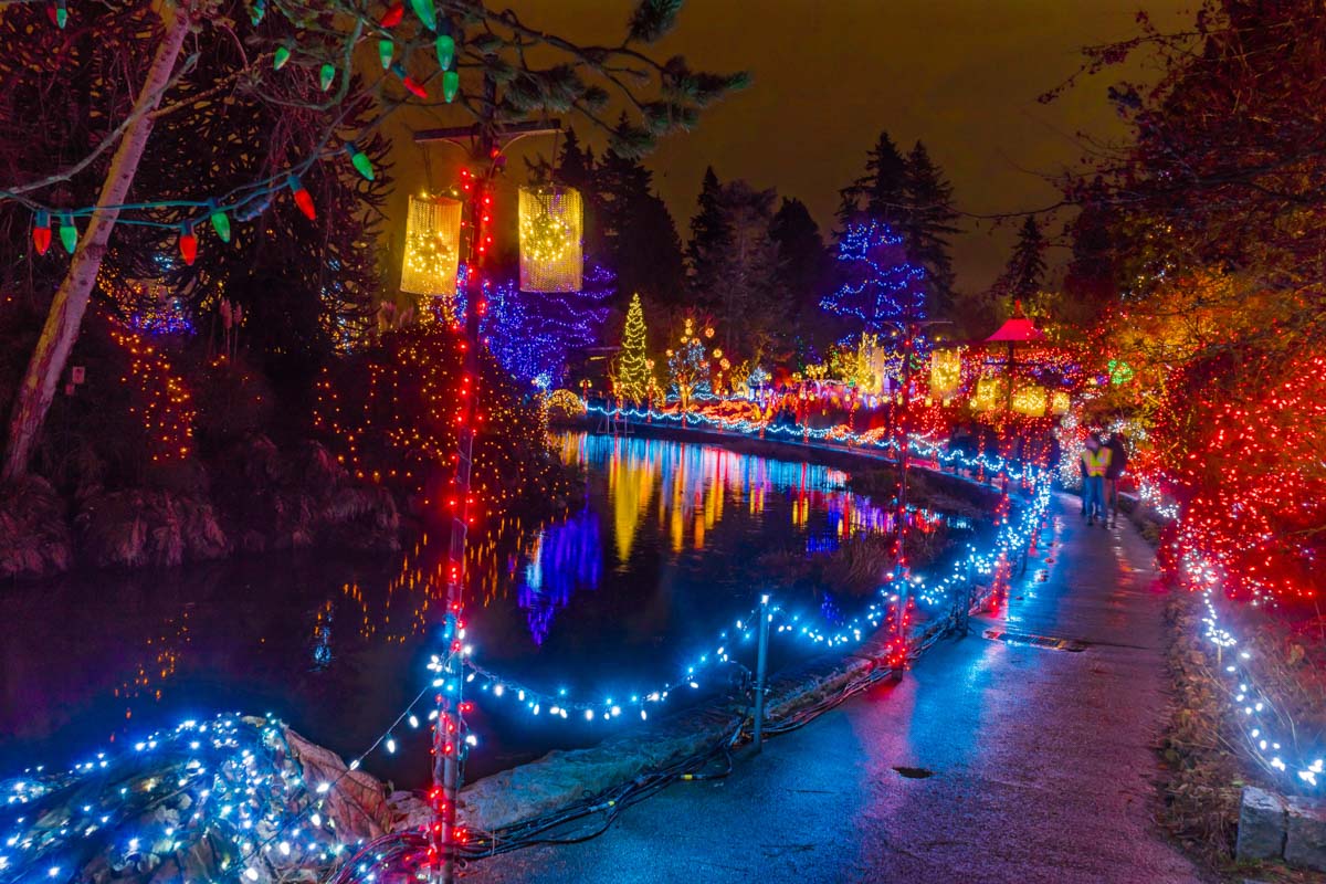 Magical vancouver christmas trees & display locations you need to see 2 Image